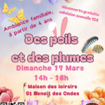 15 - Dimanche 17 Mars